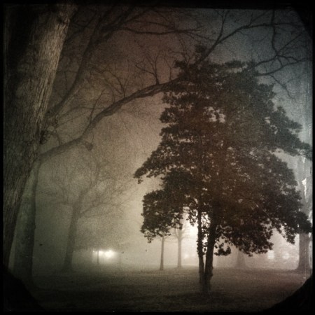 Foggy Morning Walk by Carla Kucinski