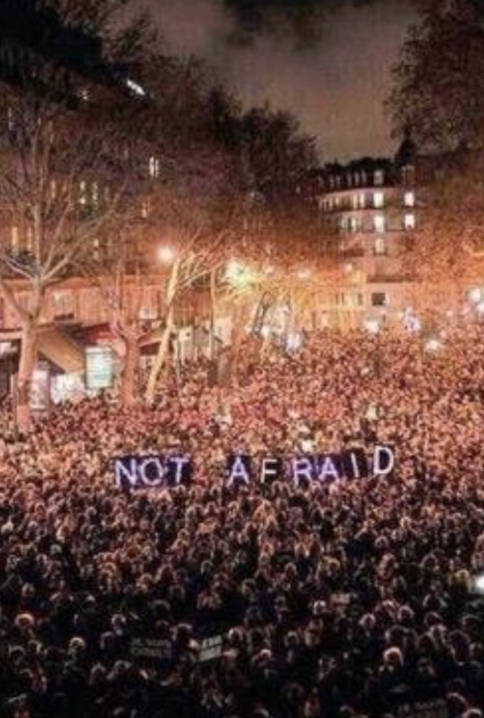 FullSizeRender (019)