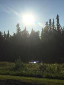 fairbanks sun